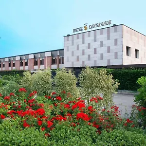 Cangrande Di *** Soave (Verona)